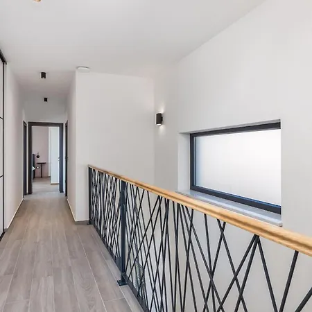 Ziganto אופטיה